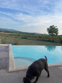 Agriturismo La Segolina - Colle di Val d'Elsa - 1