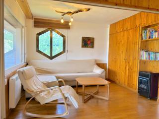 Apartament amb balcó i unes vistes úniques del Pirineu by RURAL D'ÀNEU - Esterri d'Àneu - 5