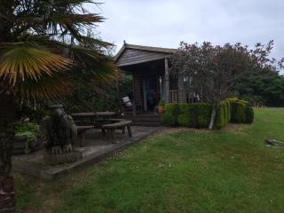 The Cabin - St Austell - 9
