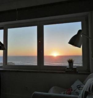 Livelove Sea - Santa Cruz - 7