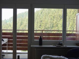 Bel Appartement Centre Crans Montana, Air Frais Vue Alpine - Crans-Montana - 1