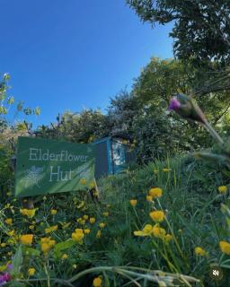 Elderflower Hut - Port Isaac - 5