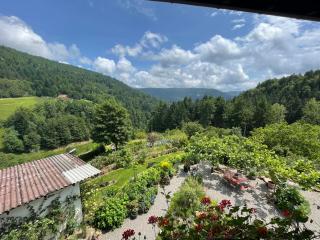 The Moosbach Garden - Nordrach - 3