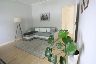 Pinetree Villa - - 9