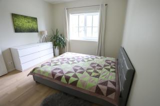 Pinetree Villa - - 5