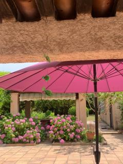 La maison de Suzy - 2