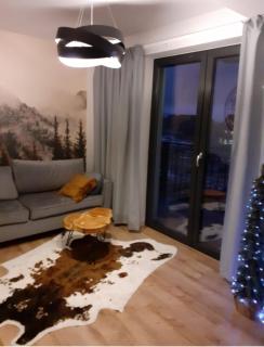 Apartament Ruczaj - Białka Tatrzańska - 0