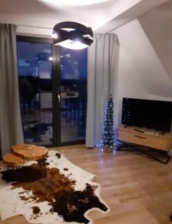 Apartament Ruczaj - Białka Tatrzańska - 6
