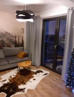 Apartament Ruczaj - Białka Tatrzańska - 4