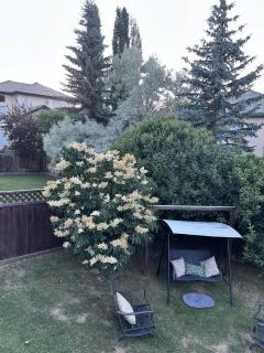 Valley Gateway - Calgary - 2