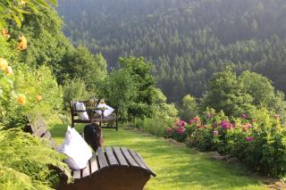 The Moosbach Garden - Nordrach - 4