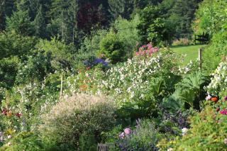 The Moosbach Garden - Nordrach - 6