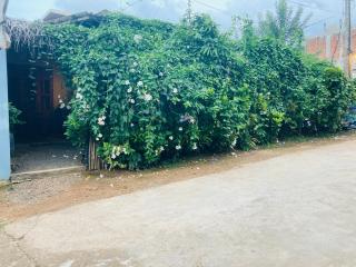 Ayubowan Hiriketiya - Dickwella - 8