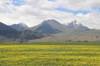 Hidden Valley Guesthouse - Toguz-Bulak - 9