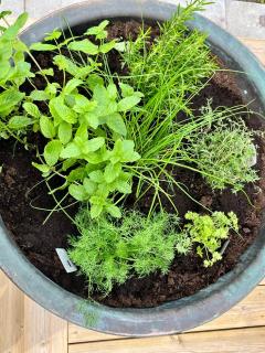 Huset på landet i Falkenberg - 5