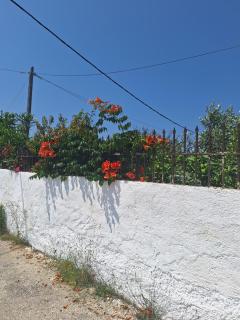 Ioanna's house - Agios Georgios - 5
