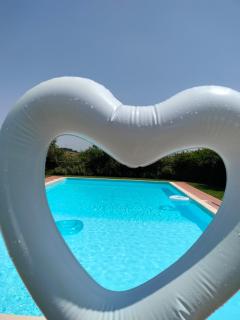 Villa Podere Cartaio Bio Estate Pool AirC - San Rocco a Pilli - 6