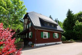 Schwarzwaldhaus St, Blasien, Direkt Am Bach - St. Blasien - 8