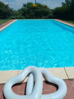 Podere Cartaio Bio Farm, private pool, AirC - 8