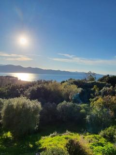 studio cosy vue mer - Patrimonio - 7