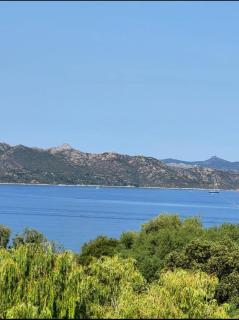 studio cosy vue mer - Patrimonio - 3