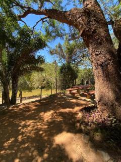 Rancho Pé de Serra - Manhã - 2