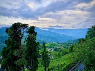 Koseli Inn - Darjeeling - 0