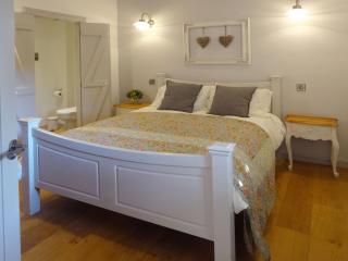 Yondhill Barn - Okehampton - 6