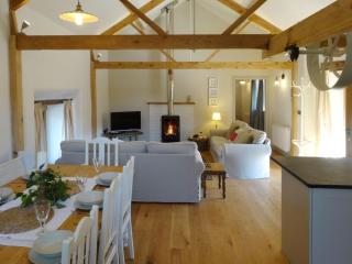 Yondhill Barn - Okehampton - 3