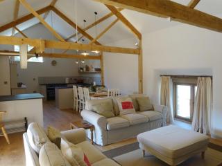 Yondhill Barn - Okehampton - 2