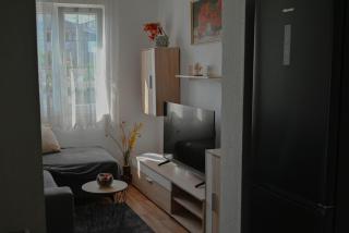 Apartment Piko - Novi Vinodolski - 3