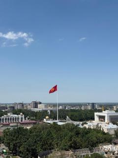 Citywide apartment BayTash Tower near GUM and TSUM - Bishkek - 9
