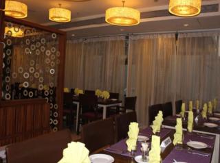 Hotel Diamond Inn-Near IGI-Airport-Terminal-3 - Neu-Delhi - 2