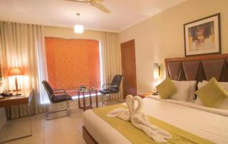 Hotel Diamond Inn-Near IGI-Airport-Terminal-3 - Neu-Delhi - 5