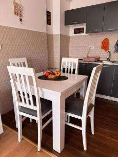 Flower and Love Flat Next to centar of podgorica - Podgorica - 3