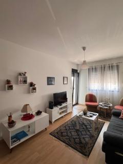 Flower and Love Flat Next to centar of podgorica - Podgorica - 4
