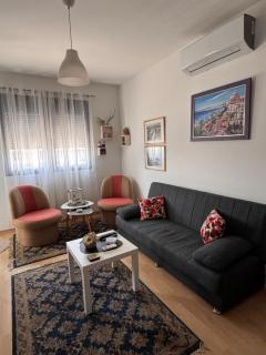 Flower and Love Flat Next to centar of podgorica - Podgorica - 0