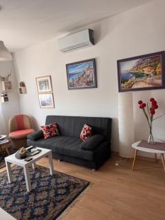 Flower and Love Flat Next to centar of podgorica - Podgorica - 5