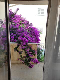 Apartment Relax - Podstrana - 8