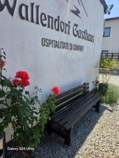 Casa de oaspeti Wallendorf Bistrita Unirea - Bistriţa - 6