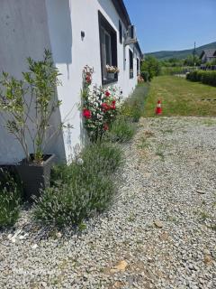 Casa de oaspeti Wallendorf Bistrita Unirea - Bistriţa - 7
