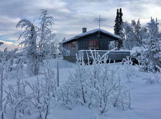 Koselig, lita hytte på Aurdalsåsen ved Danebu - Aurdal - 7