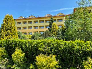 Apartmán v areálu Wellness hotel Frymburk - Frymburk - 9