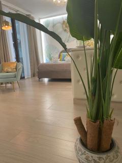 Spring House - 5