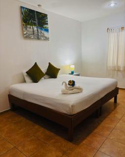 Hotel International House Riviera Maya - Playa del Carmen - 1
