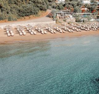 Olive House near the sea - 3