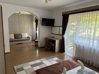 Villa Prestige - Sovata - 5