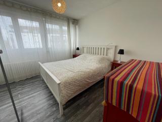 Appartement Lumineux avec Parking Privée - Ban-Saint-Martin - 9