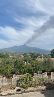 Reale Mountain View - 4