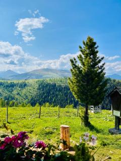 Almhütte auf der Laußnitz Alm - Auszeit in schöner Bergidylle auf 1836m - Rennweg - 5